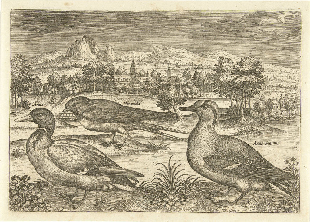 Detail of Some birds in a landscape by Adriaen Collaert