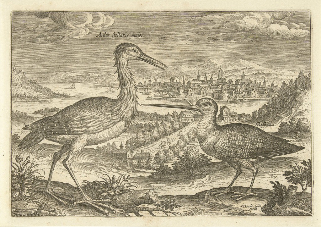 Detail of Two birds in a landscape by Adriaen Collaert