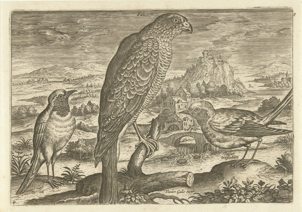 Detail of Some birds in a landscape by Adriaen Collaert