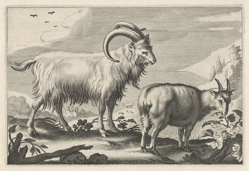 Detail of Hilly landscape with two goats by Nicolaes Visscher I