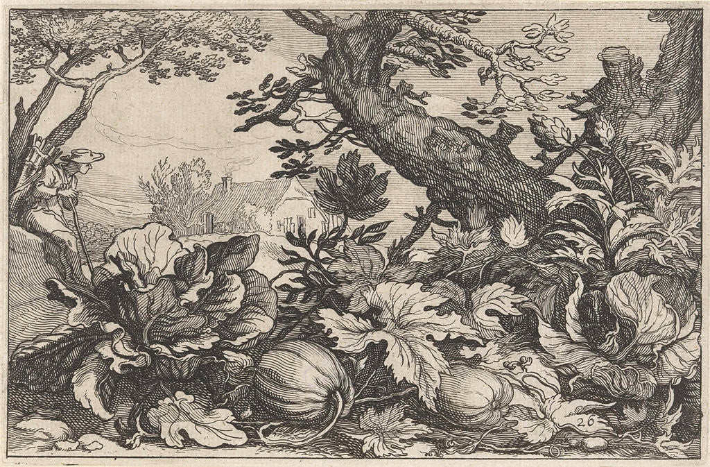 Detail of Landscape with pumpkins and coal by Boëtius Adamsz. Bolswert