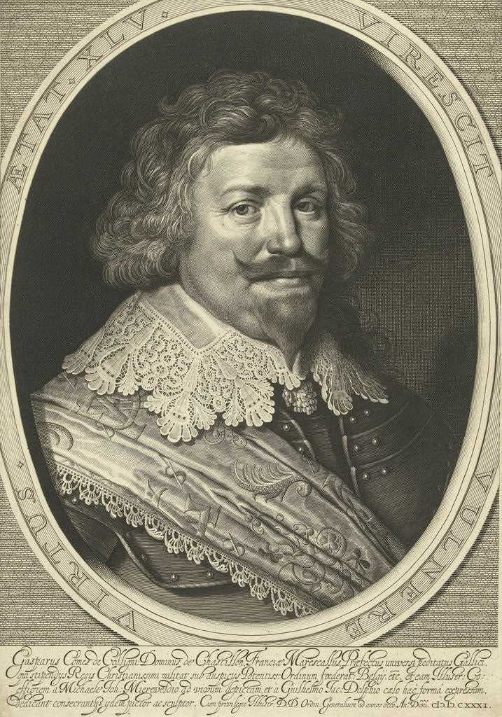 Detail of Portrait of Gaspard de Coligny, Duke of Châtillon at the age of 45 by Willem Jacobsz. Delff