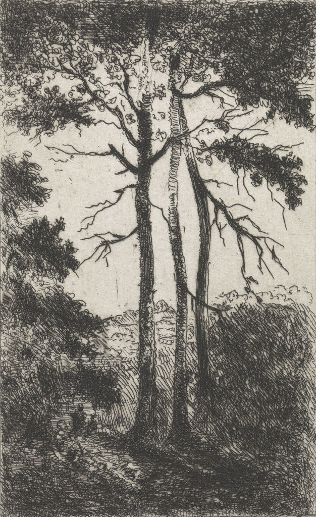 Detail of Three trees in a landscape by Arnoud Schaepkens