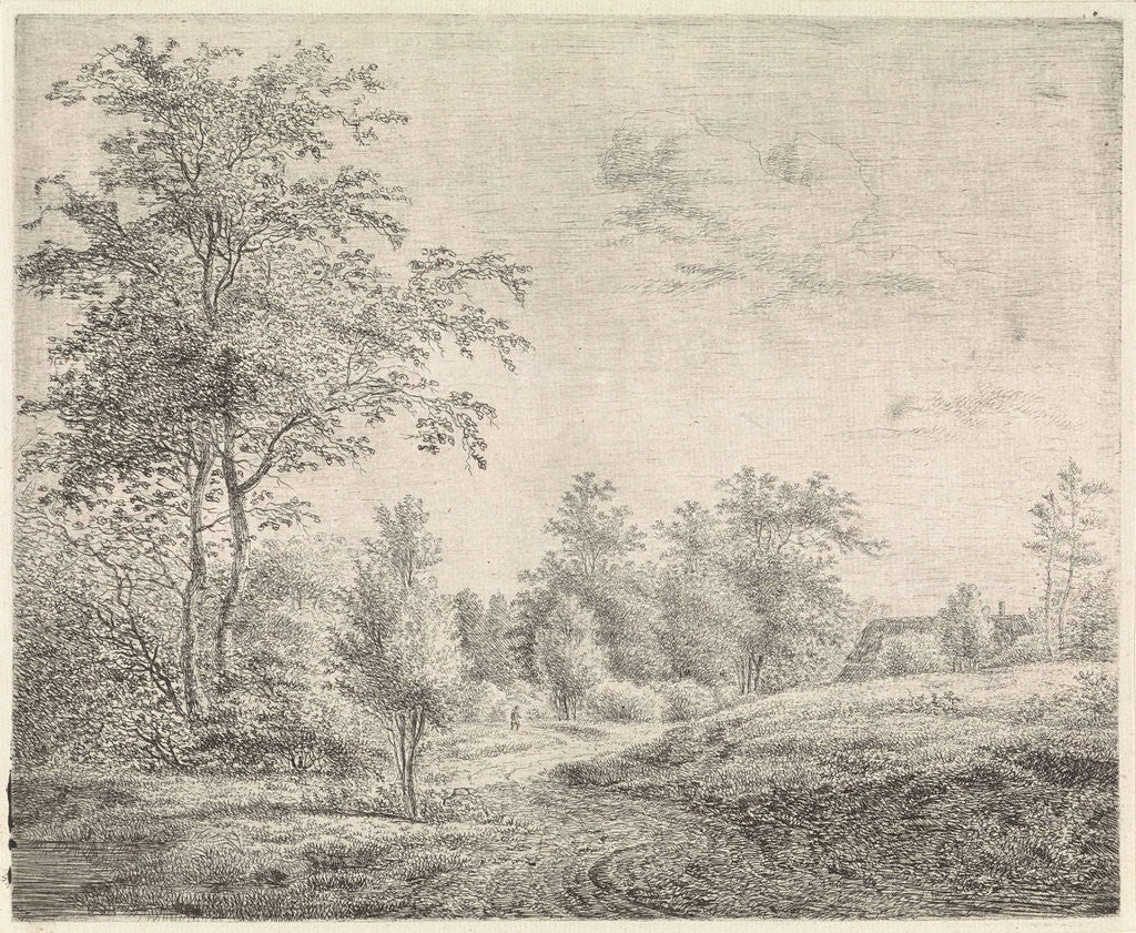 Detail of Wooded landscape with winding road by Pieter Janson