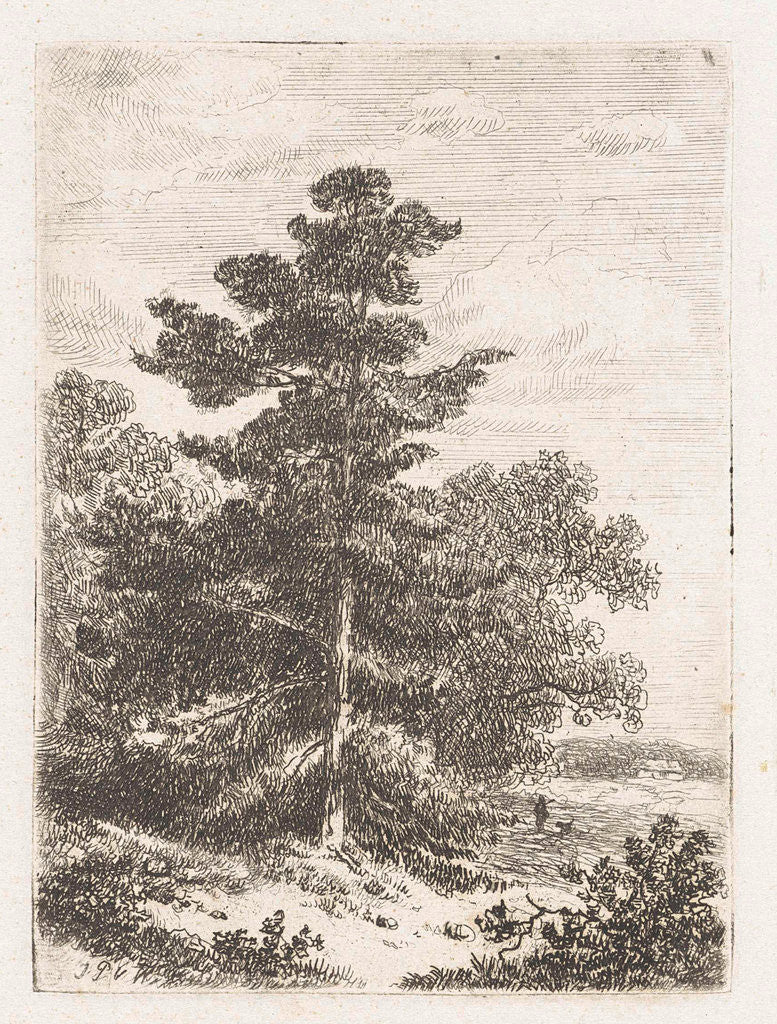 Detail of Landscape with a fir by Johannes Pieter van Wisselingh