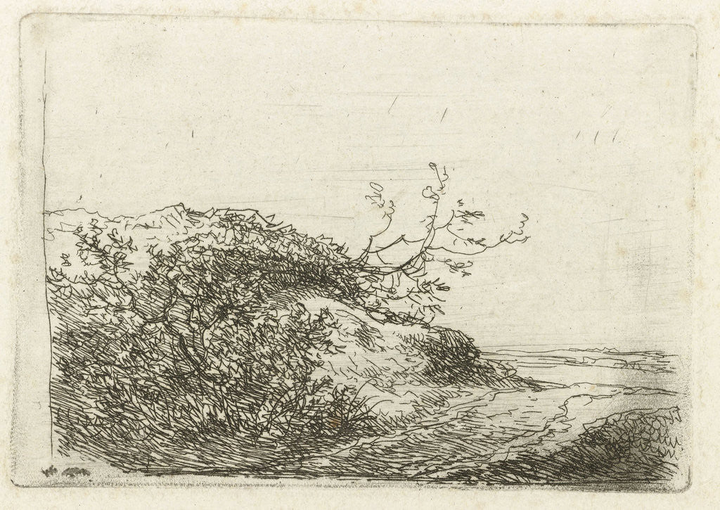 Detail of Dune landscape with bushes by Andreas Schelfhout