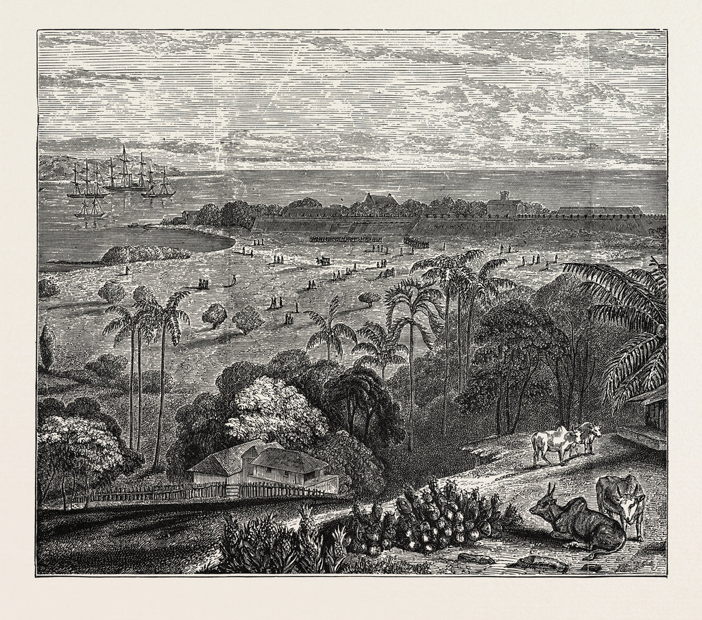 Detail of View of Point De Galle, Ceylon, Sri Lanka by Anonymous