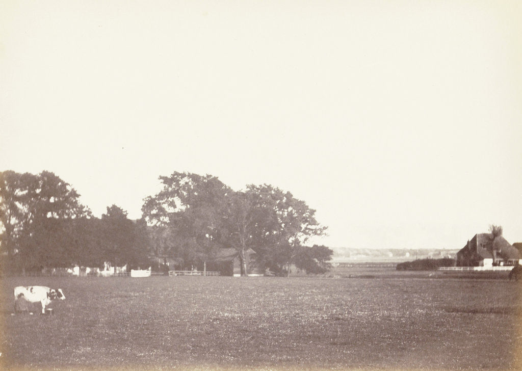 Detail of Landscape with left a farm hidden among the trees and on the right a farm. In the foreground a meadow with a cow, Netherlands by Anonymous