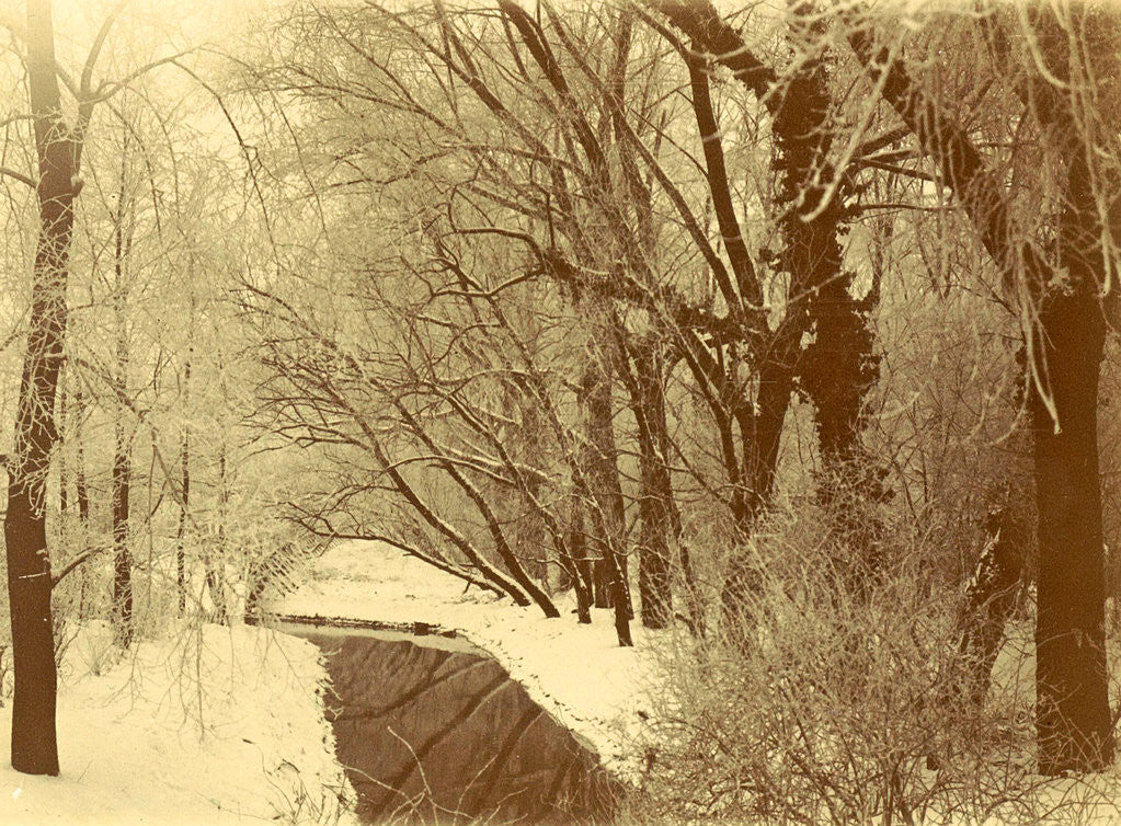 Detail of Snowy ditch in a park, possibly Amsterdam by Anonymous