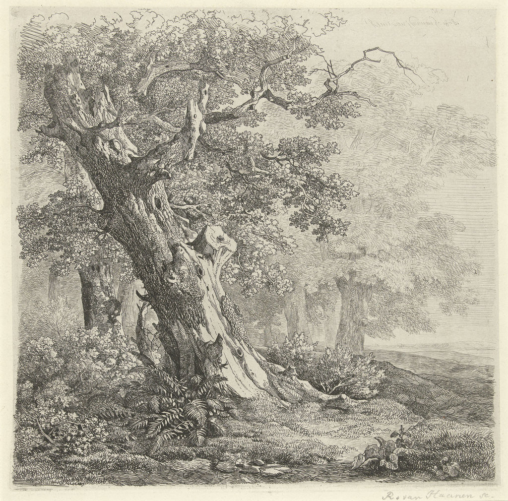 Detail of tree in a landscape by Remigius Adrianus Haanen