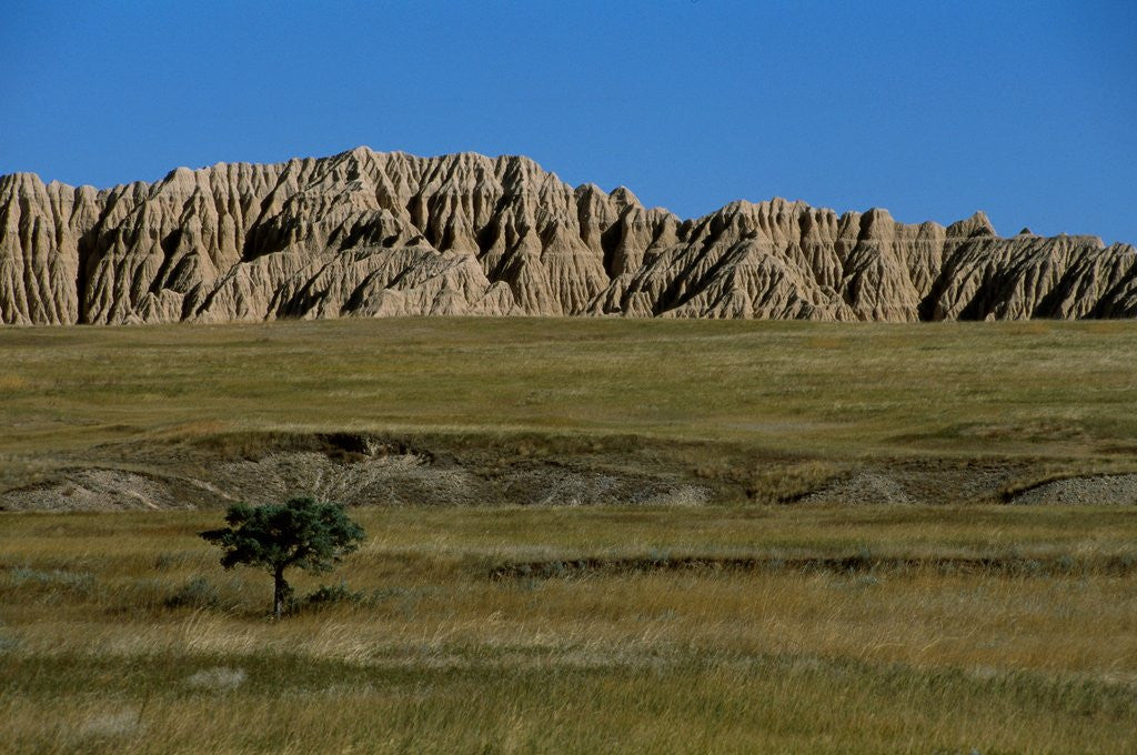 Detail of Landscape in Badlands National Park by Corbis