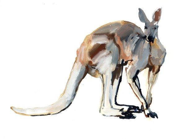 Detail of Roo, 2012 by Mark Adlington