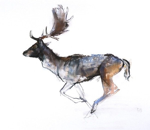 Detail of Evening Buck, 2007 by Mark Adlington