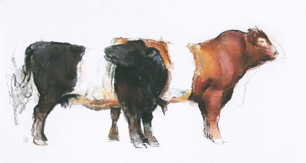 Detail of Belties, 2006 by Mark Adlington