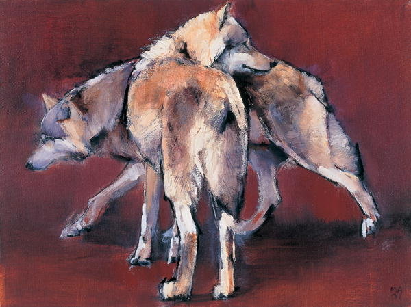 Detail of Wolf Composition, 2001 by Mark Adlington