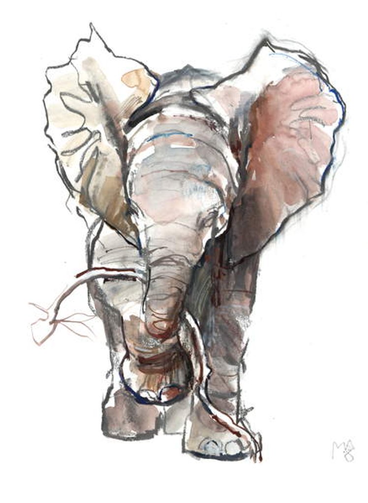 Detail of Dumbo, 2018 by Mark Adlington