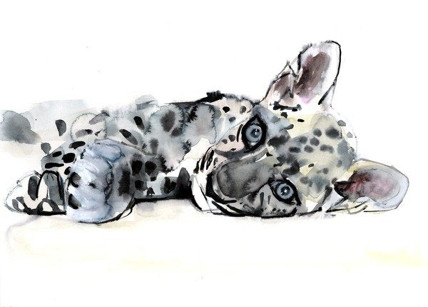 Detail of Arabian Leopard Cub, 2008 by Mark Adlington