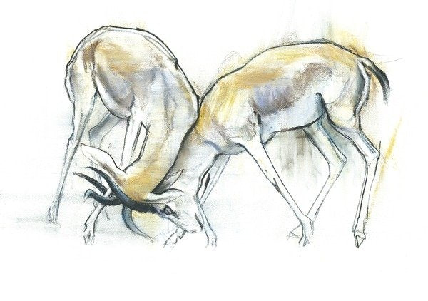 Detail of Sand Gazelles, 2009 by Mark Adlington