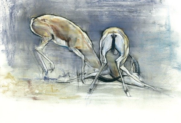 Detail of Sand Gazelles, 2009 by Mark Adlington