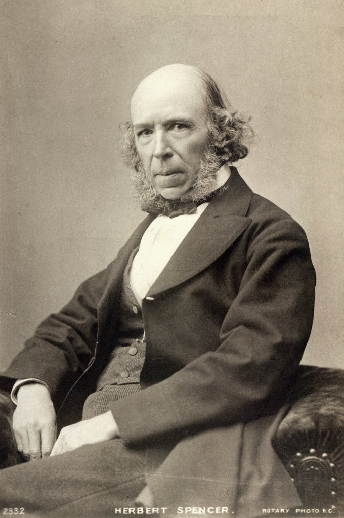 Detail of Philosopher Herbert Spencer by Corbis