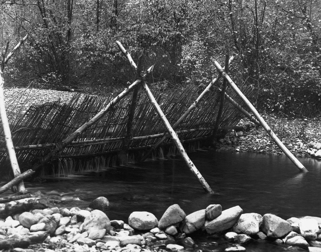 Detail of Native American Fishing Weir by Corbis