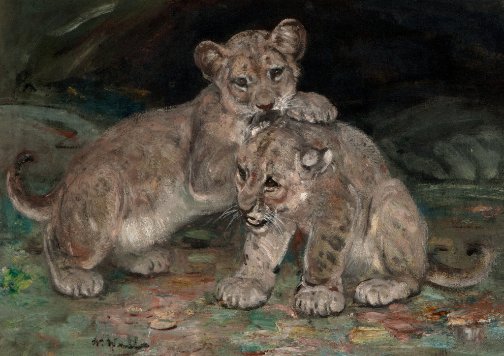 Detail of Lion Cubs c.1906 by William Walls