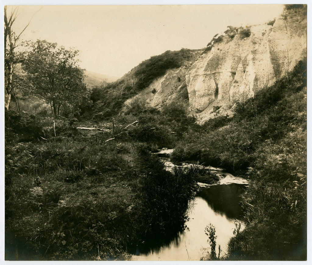 Detail of Glen Wyllin by George Bellett Cowen