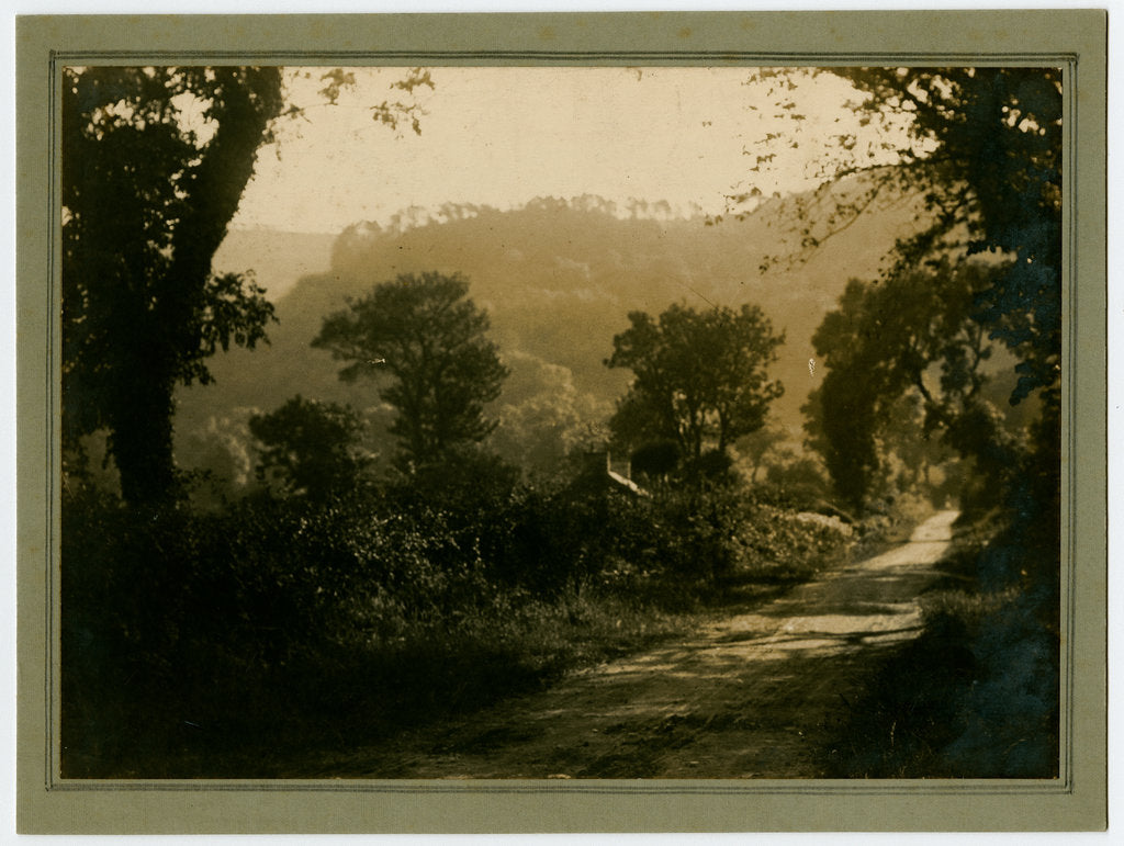 Detail of Untitled landscape by George Bellett Cowen