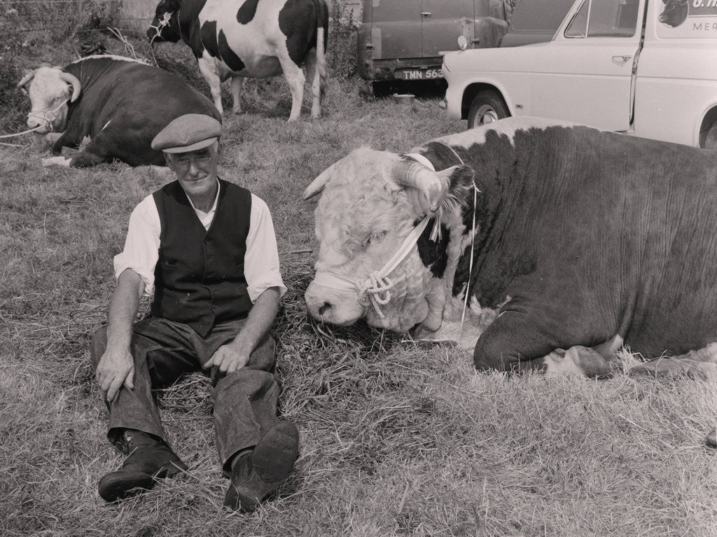 Detail of Southern Agricultural Show by Manx Press Pictures