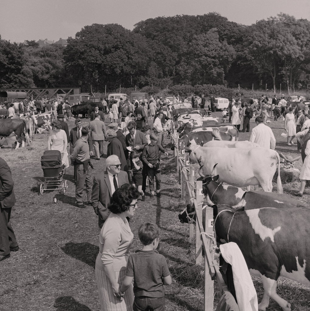 Detail of Royal Agricultural Show by Manx Press Pictures