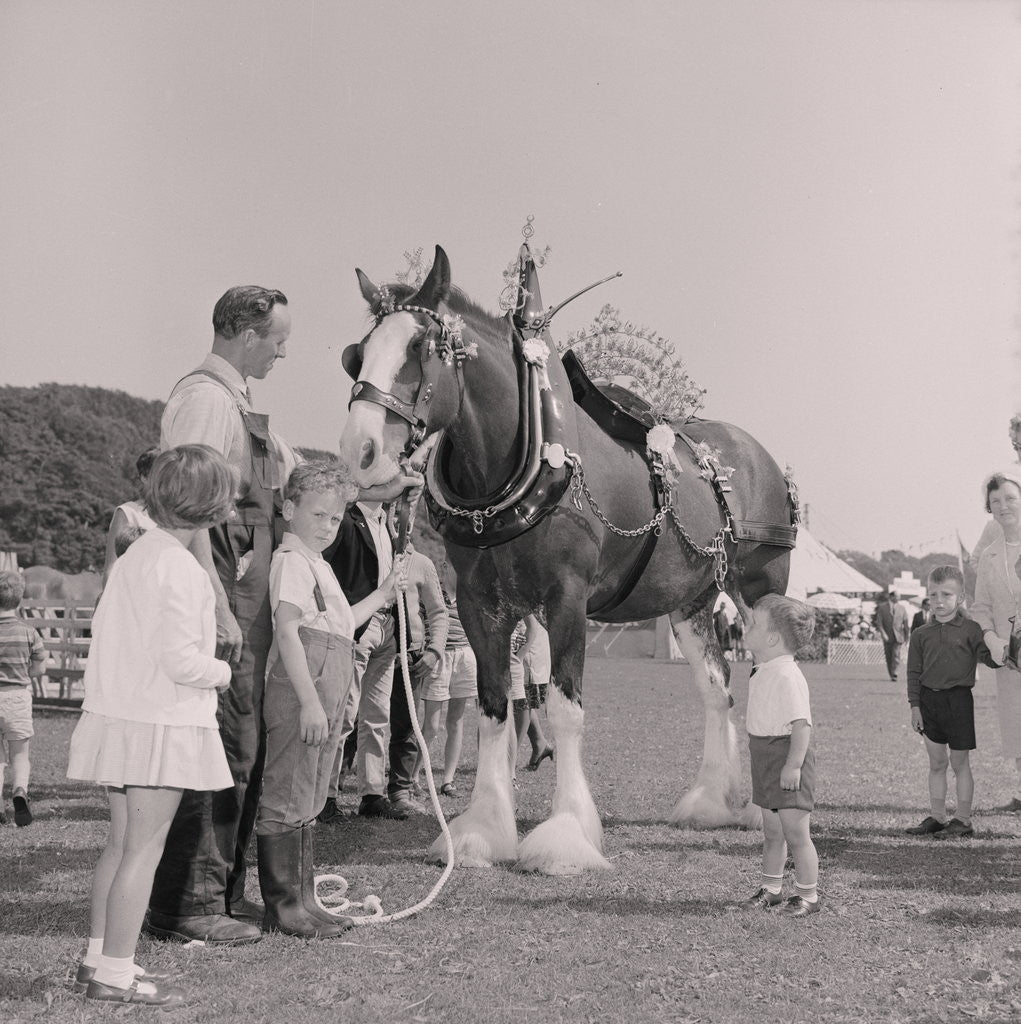 Detail of Royal Agricultural Show by Manx Press Pictures