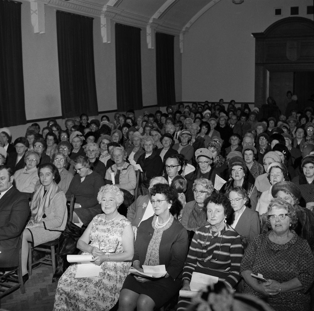 Detail of Ballamona League of Friends by Manx Press Pictures