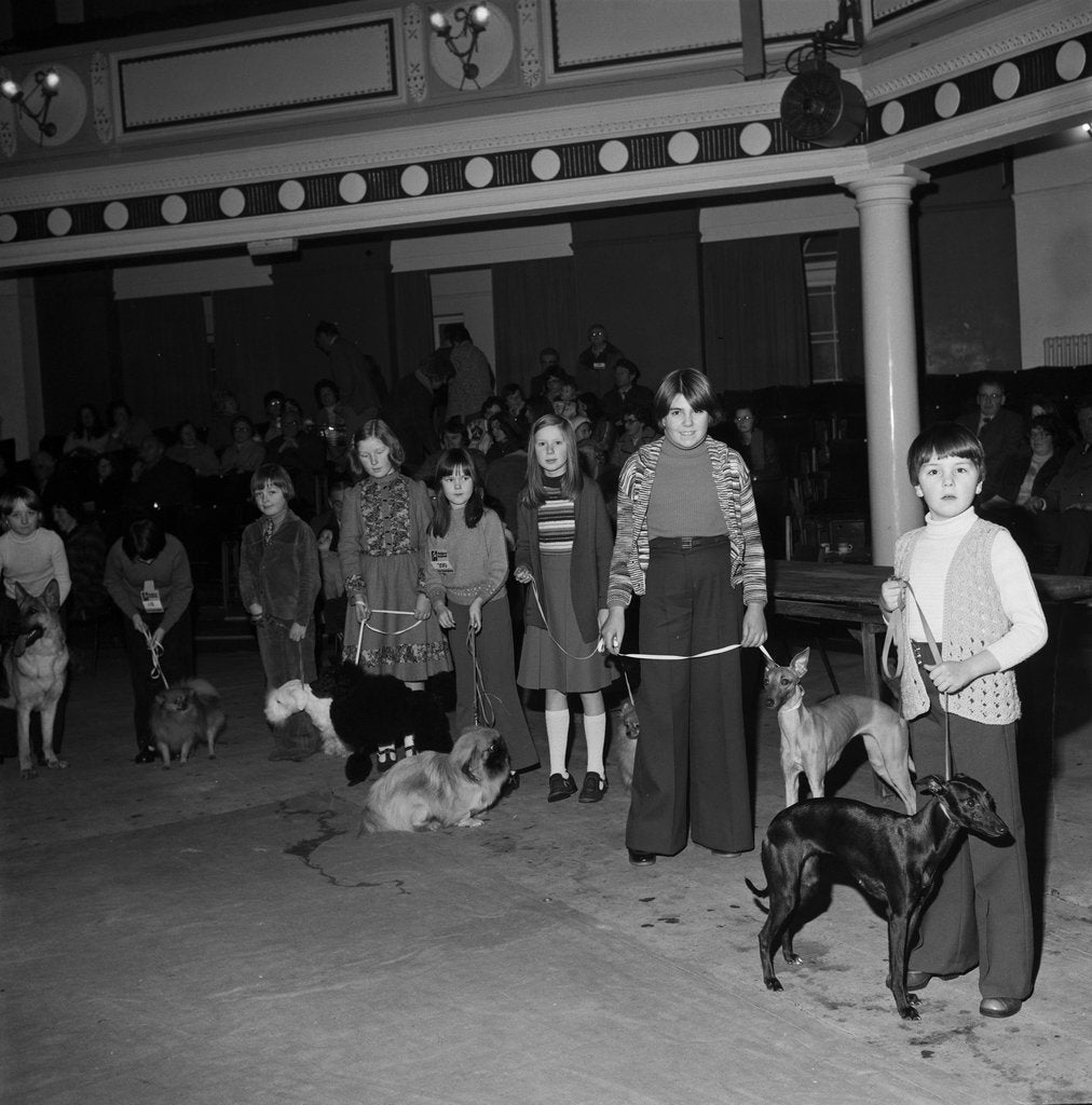 Detail of Dog Show, Villa Marina, Douglas by Manx Press Pictures