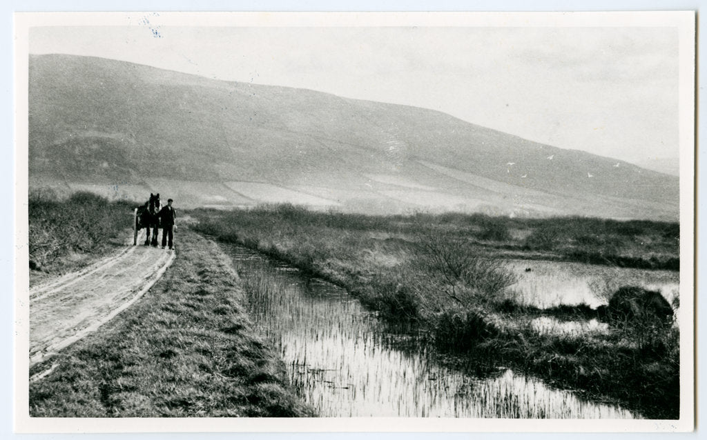 Detail of Ballaugh Curraghs by George Bellett Cowen