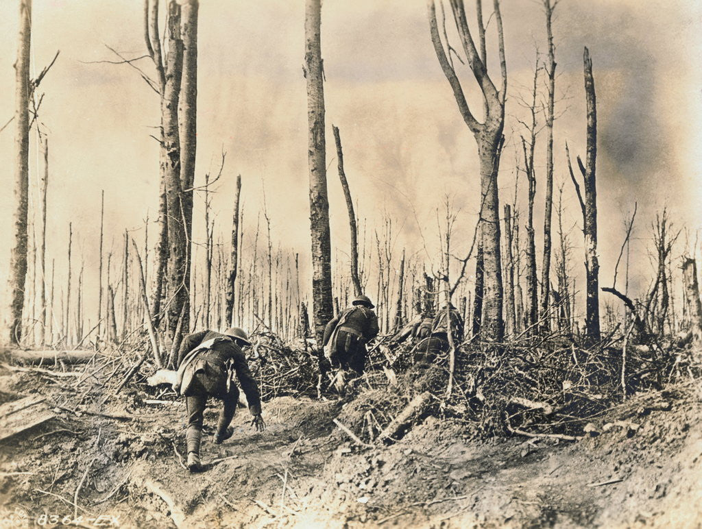 Detail of Soldiers Sneaking Through Woods by Corbis