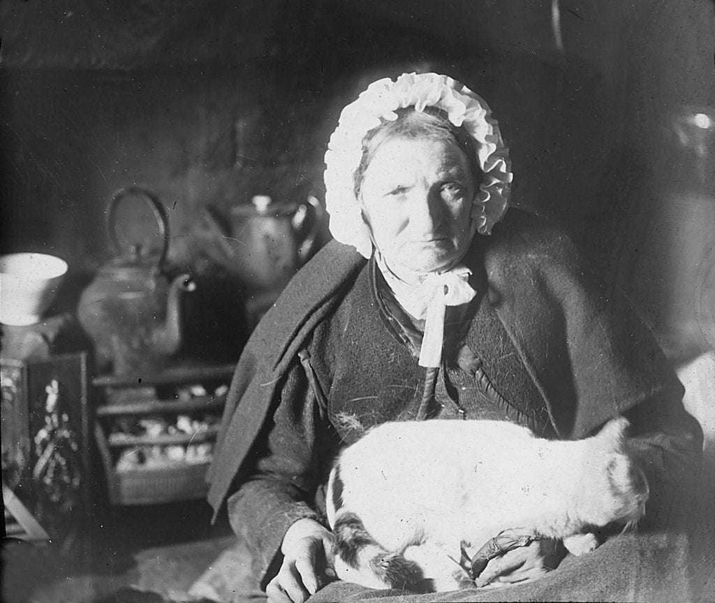 Detail of Old Manx Woman with her Cat, Isle of Man by George Bellett Cowen