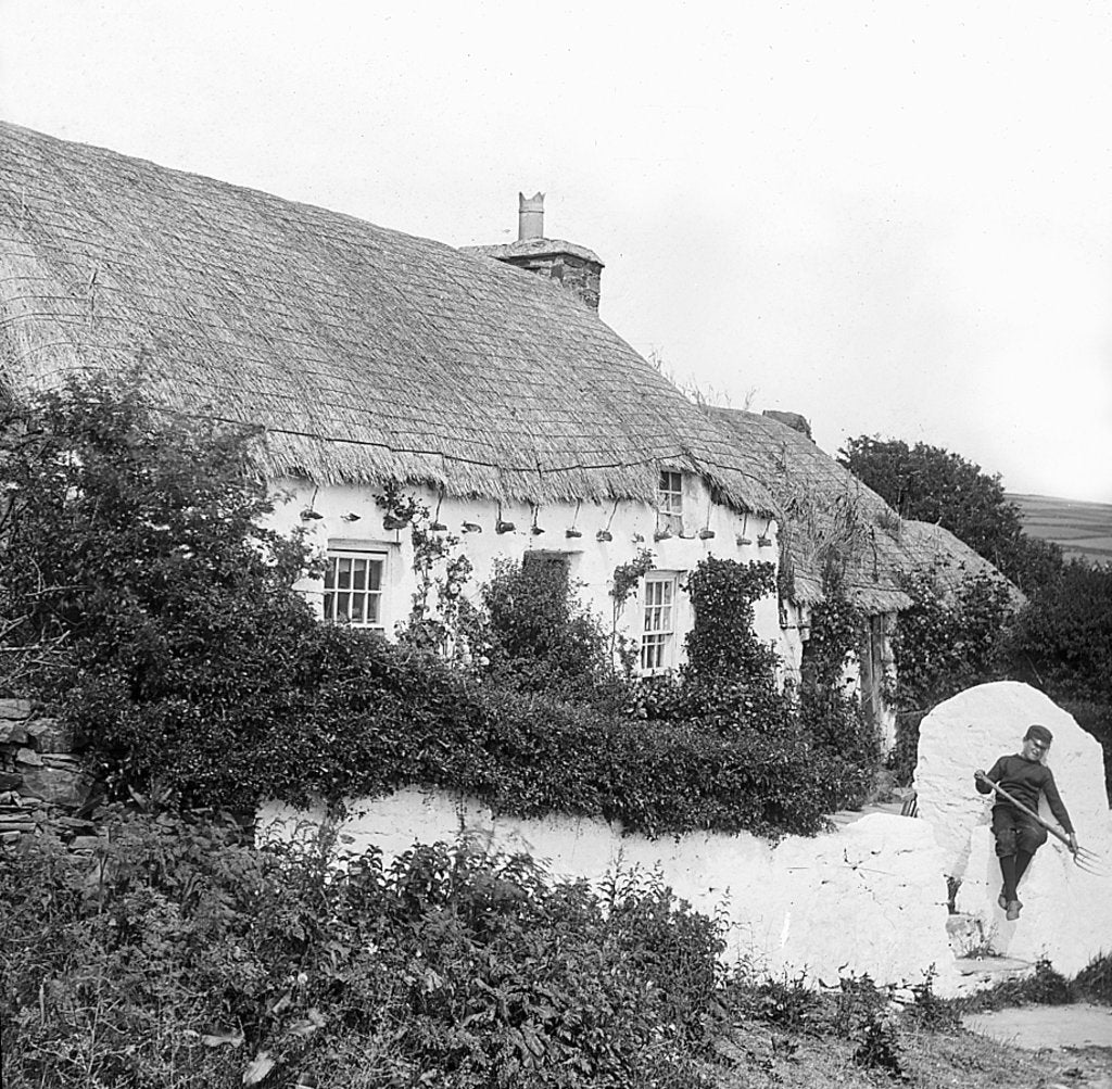 Detail of A Bradda Cottage, Isle of Man by George Bellett Cowen