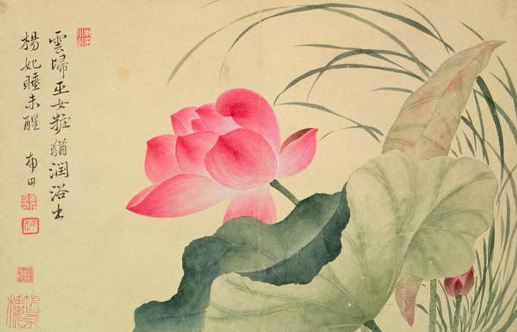 Detail of Lotus flower, by Yun Shou-P'ing by Shouping Yun