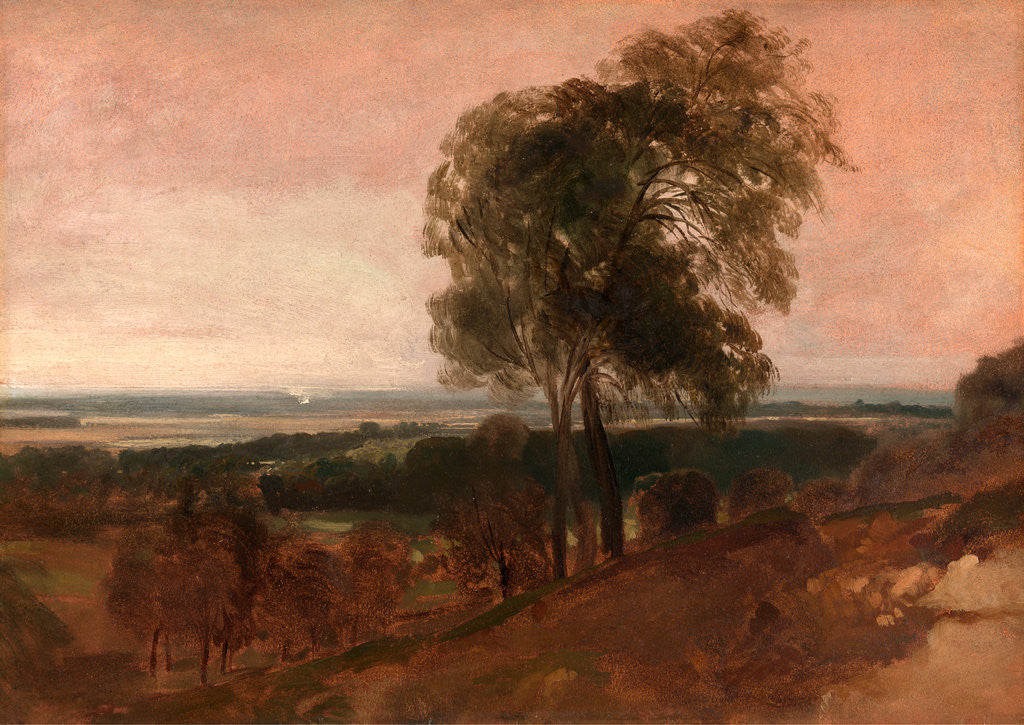 Detail of Landscape study at sunset by Peter DeWint