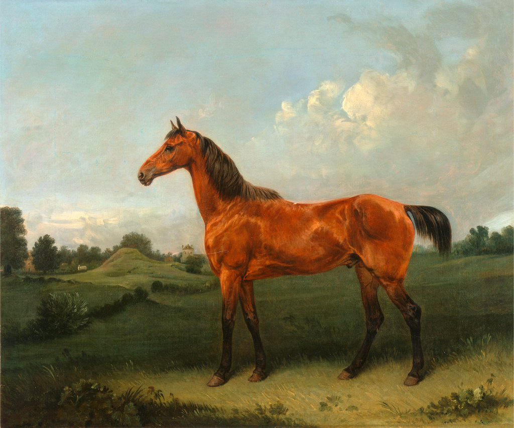 Detail of A Bay Horse in a Field Bay Hunter in a Landscape by Edmund Bristow