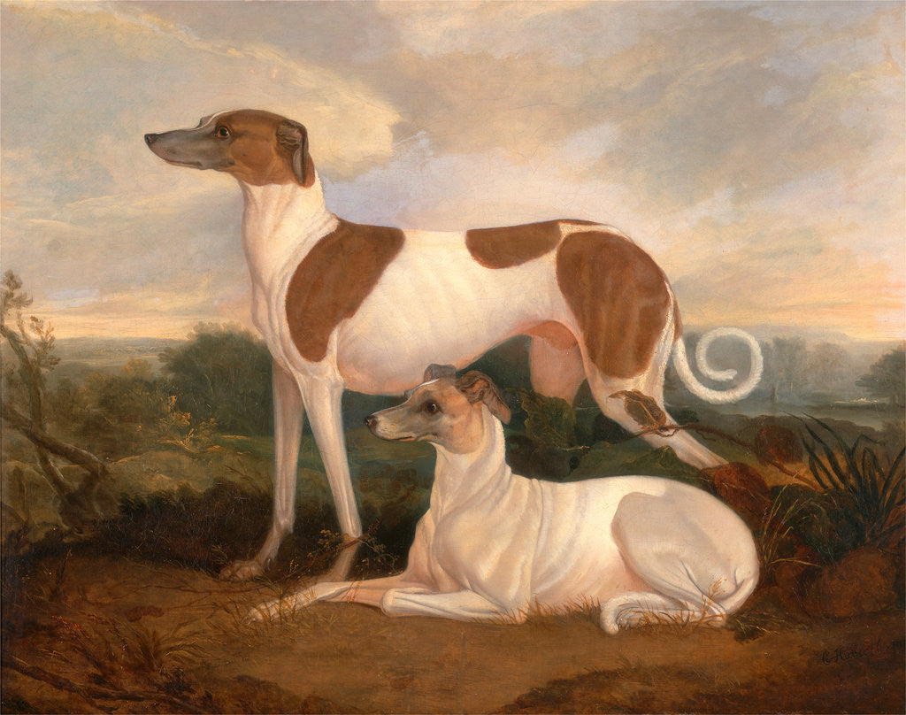 Detail of Two Greyhounds in a Landscape by Charles Hancock