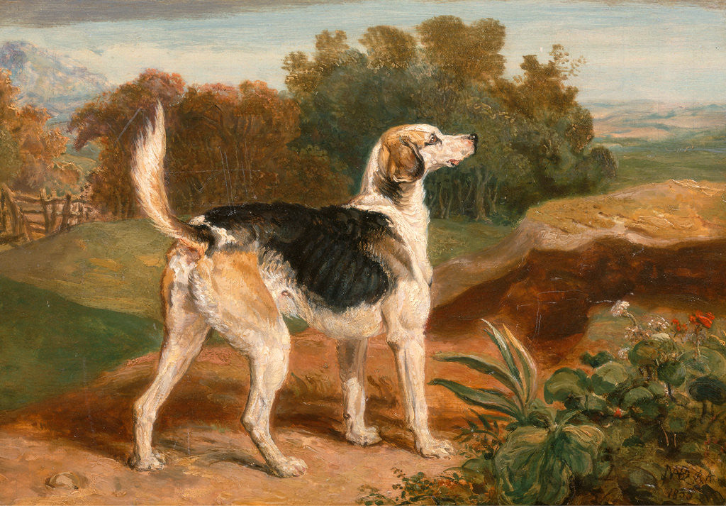 Detail of Ravager, One of the Lambton Hounds A Foxhound in a Landscape by James Ward