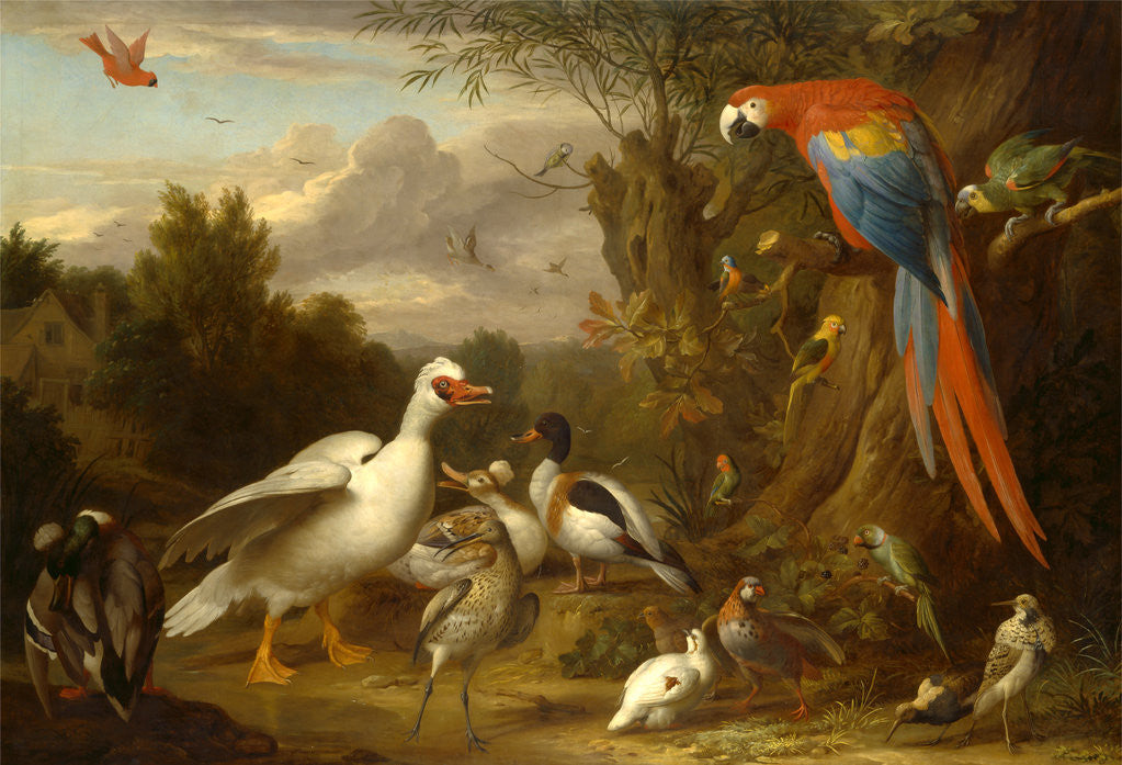 Detail of A Macaw, Ducks, Parrots and Other Birds in a Landscape by Jacob Bogdani