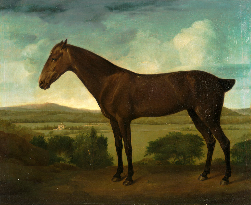 Detail of Brown Horse in a Hilly Landscape by Anonymous