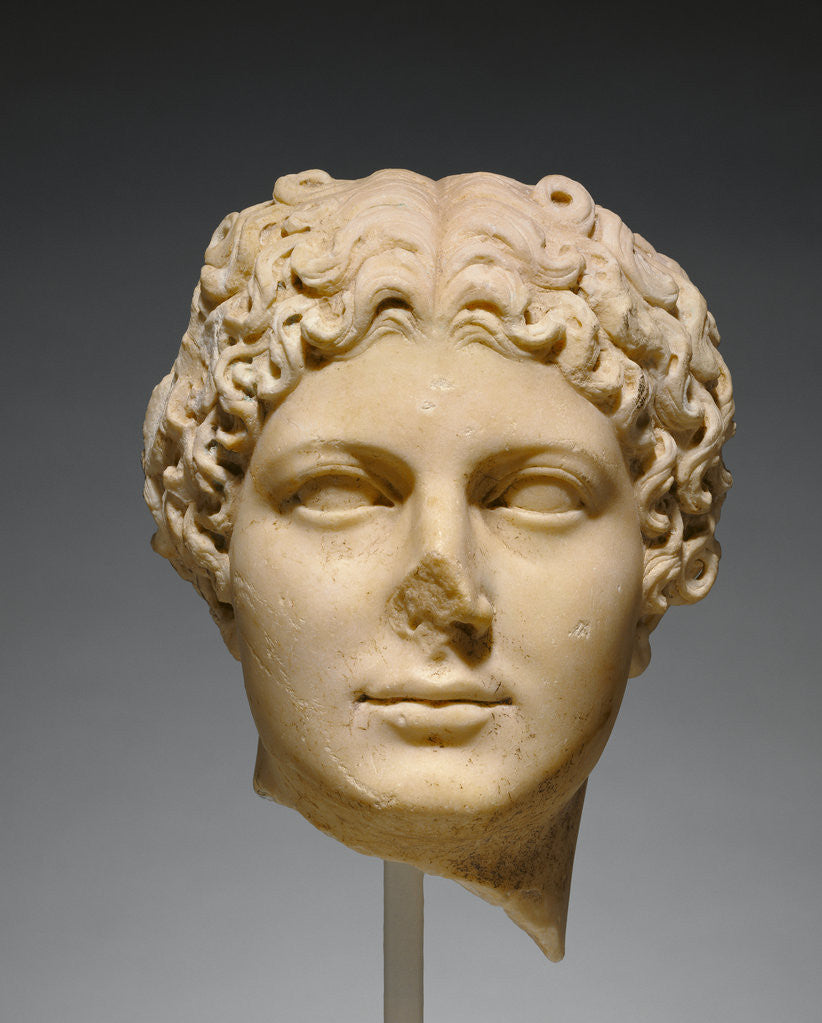 Detail of Portrait Head of Agrippina the Younger by Anonymous