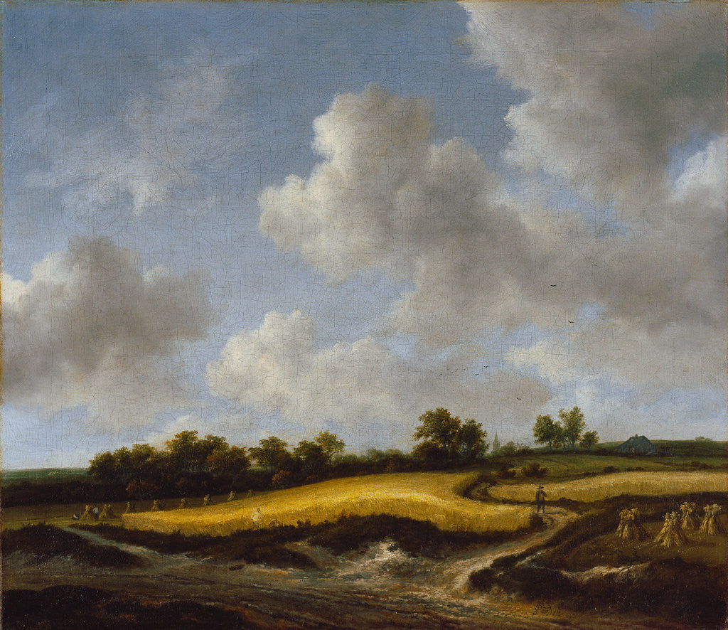 Detail of Landscape with a Wheatfield by Jacob van Ruisdael