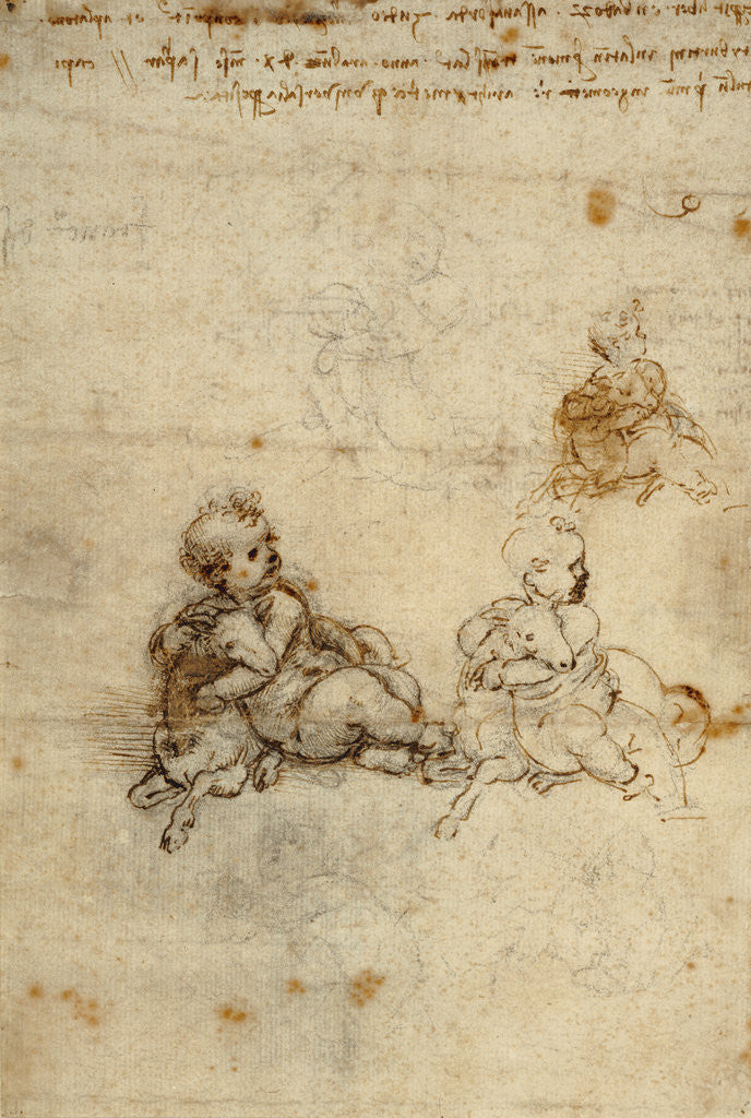 Detail of Studies for the Christ Child with a Lamb (recto), Head of an Old Man, and Studies of Machinery (verso) by Leonardo da Vinci