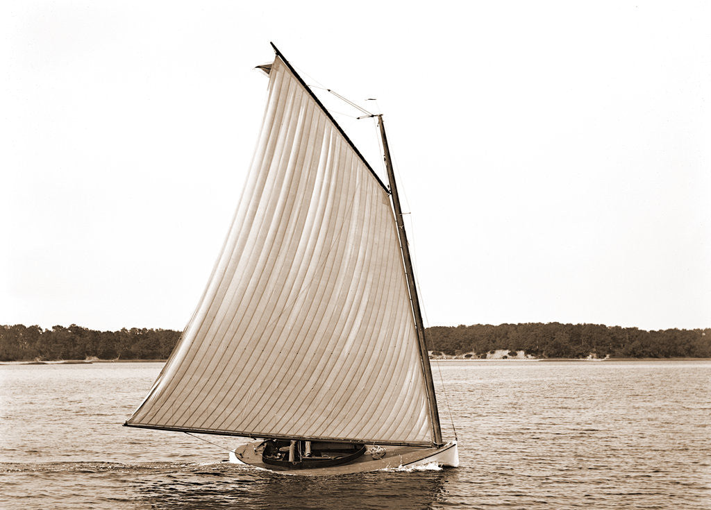 Detail of Rocket (Sailboat), 1880 by Anonymous