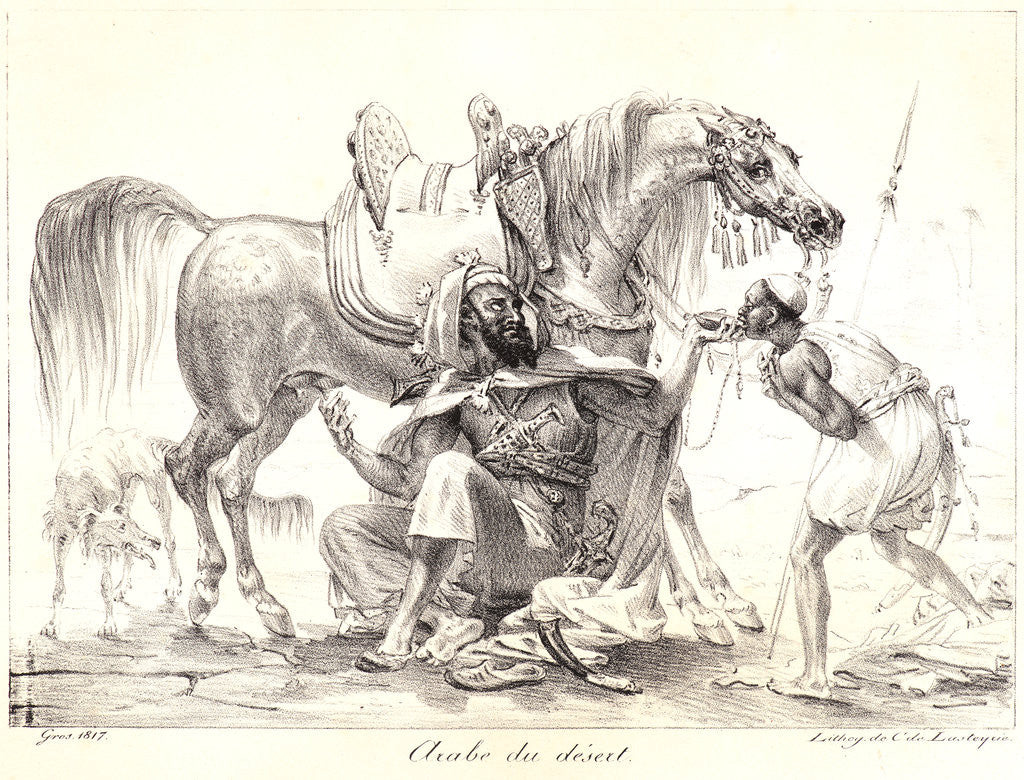 Detail of Arab of the Desert (Arabe du désert), 1817 by Antoine-Jean Gros