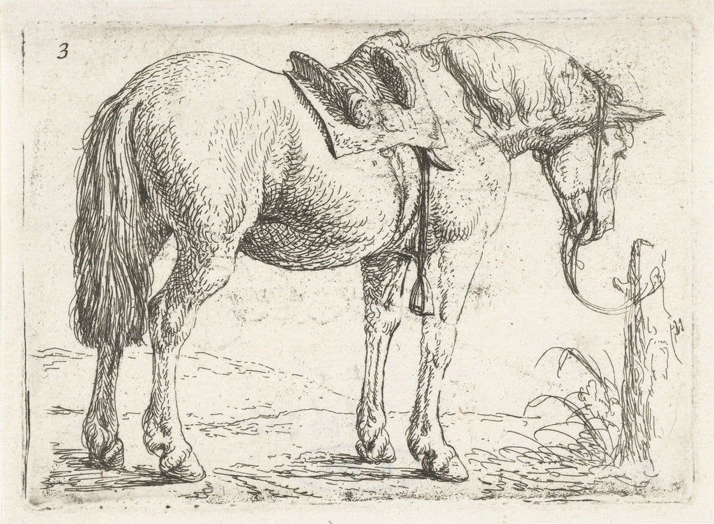 Detail of Horse, Jan van Aken by Jochem Bormeester